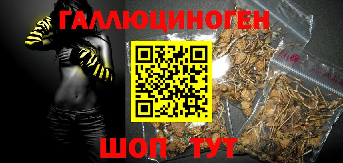 Зеленокумск  Псилоцибиновые грибы Cubensis  Вход с VPN 