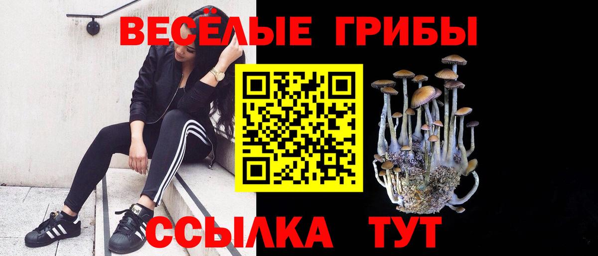 Конопля Зеленокумск